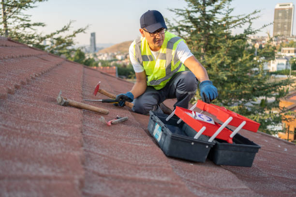 Best Brick Veneer Siding  in Ponderosa Park, CO